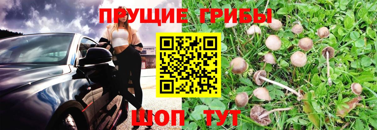 Галлюциногенные грибы мицелий Озёрск